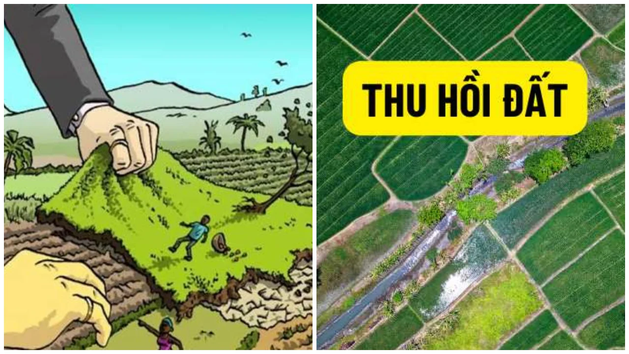 5 đối tượng sẽ bị thu hồi đất do chấm dứt việc sử dụng đất theo pháp luật từ 1/8
