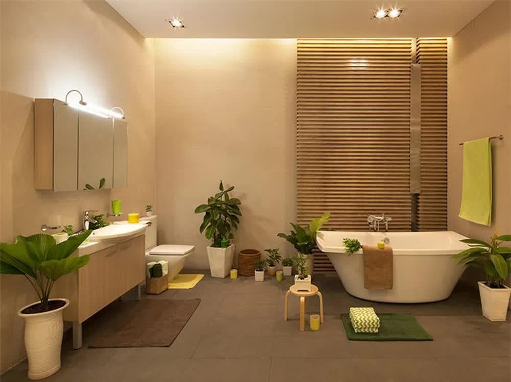 7 loại cây hút ẩm tốt thích hợp đặt trong phòng tắm