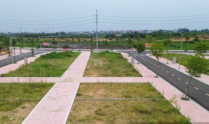 Bốc thuốc trị bệnh trả giá đất rất cao rồi bỏ cọc