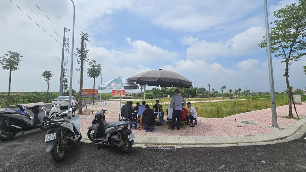 Có hiện tượng cò đấu giá đất thao túng thị trường