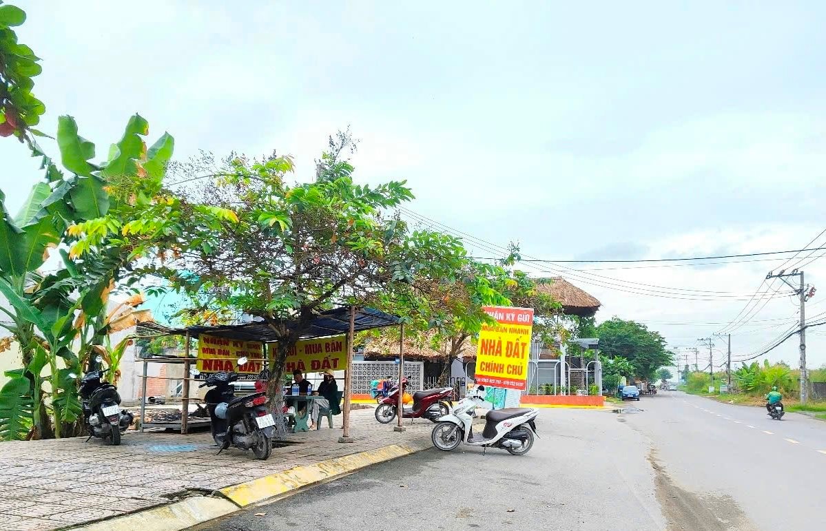 Cuối năm, nhà đầu tư tay to tiếp tục lùng sục, đất phân lô phía Nam vào nhịp tăng giá