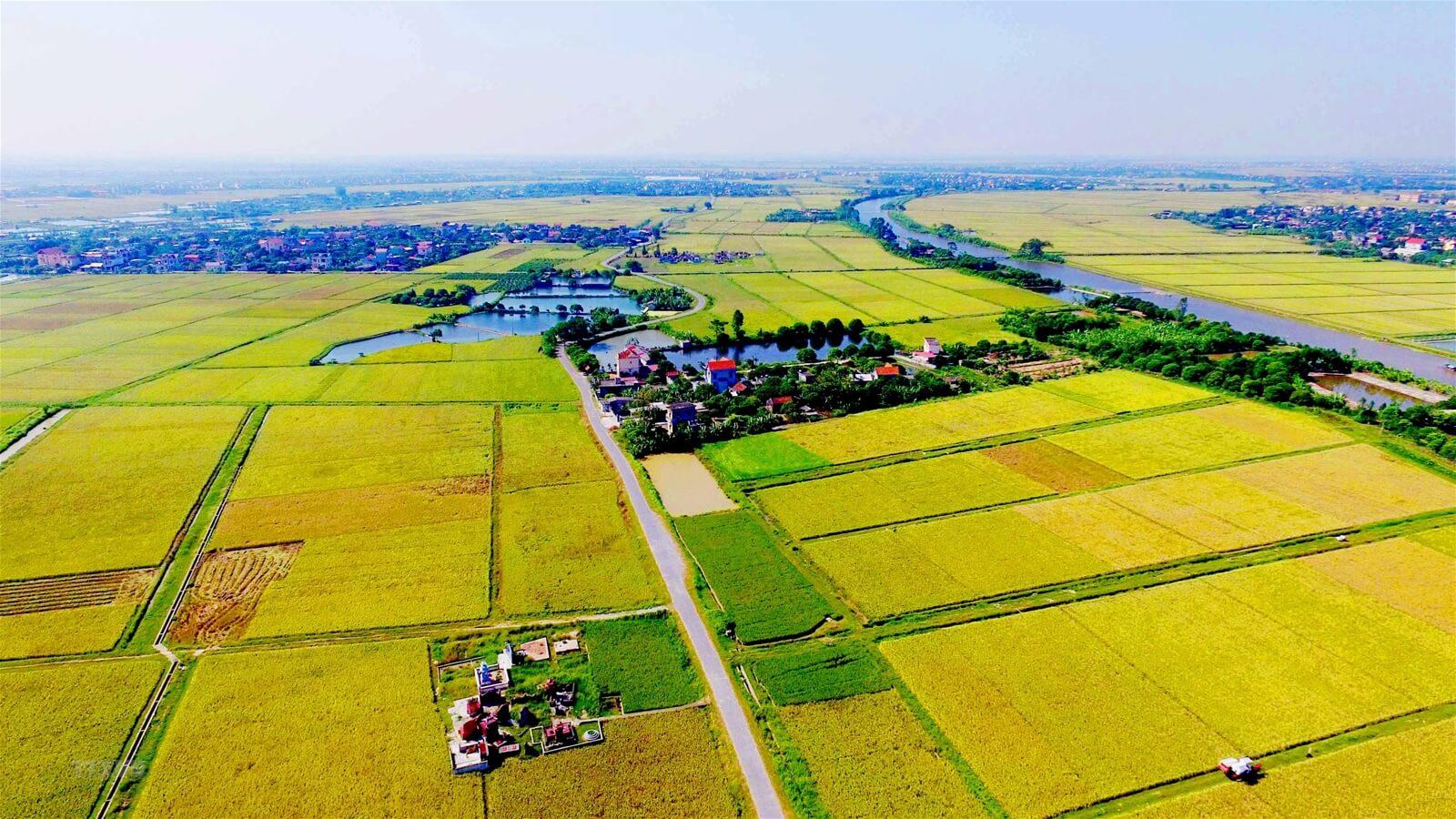 Luật Đất đai 2024 hợp thức hóa quyền thừa kế, cho tặng, chuyển nhượng đất nông nghiệp