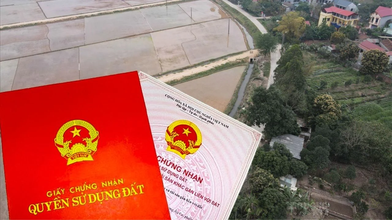 Từ 1/8, Luật Đất đai 2024 bỏ hộ gia đình khỏi các đối tượng thuộc người sử dụng đất, thay vào đó là cá nhân và tổ chức