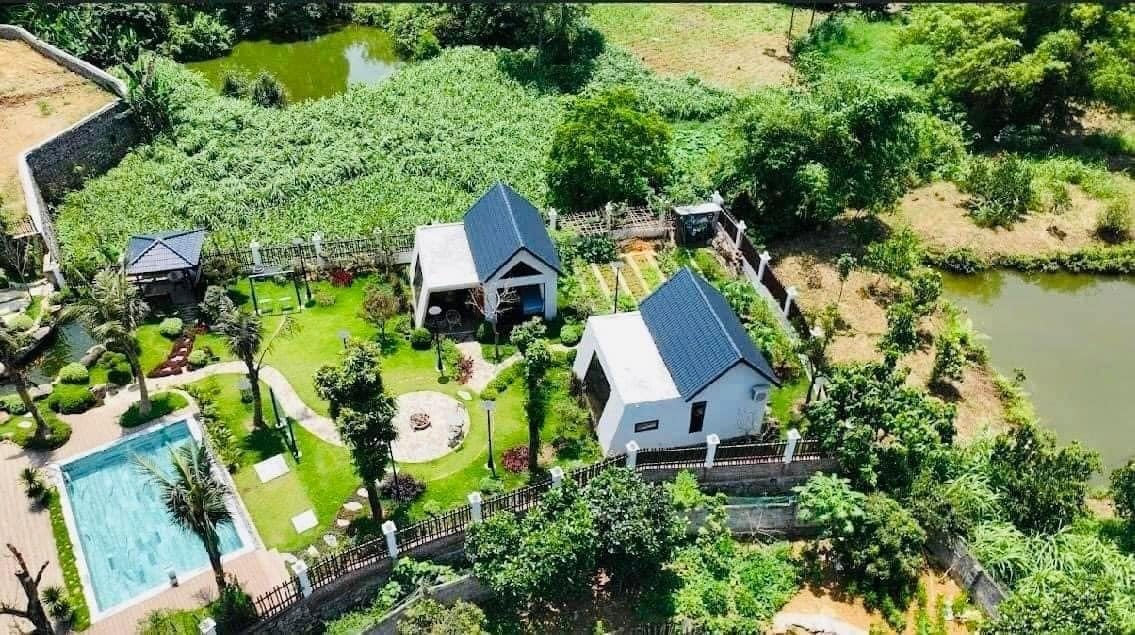 Homestay ngày càng ế khách, nhiều nhà đầu tư tháo chạy 