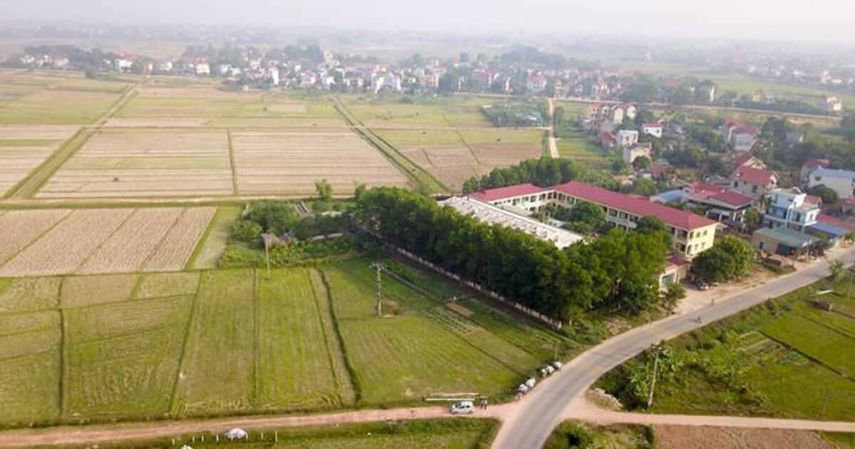 Mua phải đất có nguồn gốc đất công có bị thu hồi không?