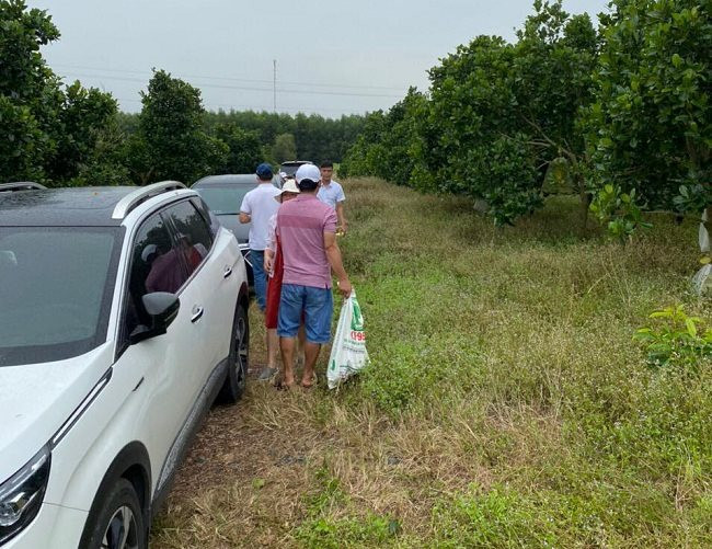 Cận Tết, đất nền phía Nam diễn biến lạ