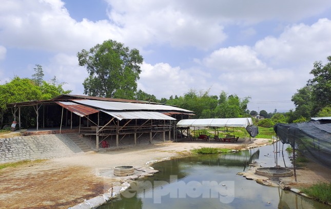 Chủ tịch tỉnh Bình Định ra tối hậu thư cho hàng loạt dự án trên địa bàn