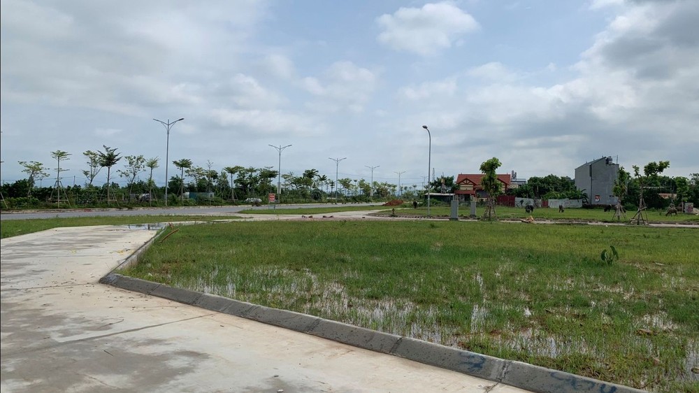 Đất đấu giá huyện vùng ven Hà Nội chốt hơn 50 triệu/m2 gấp đôi giá khởi điểm