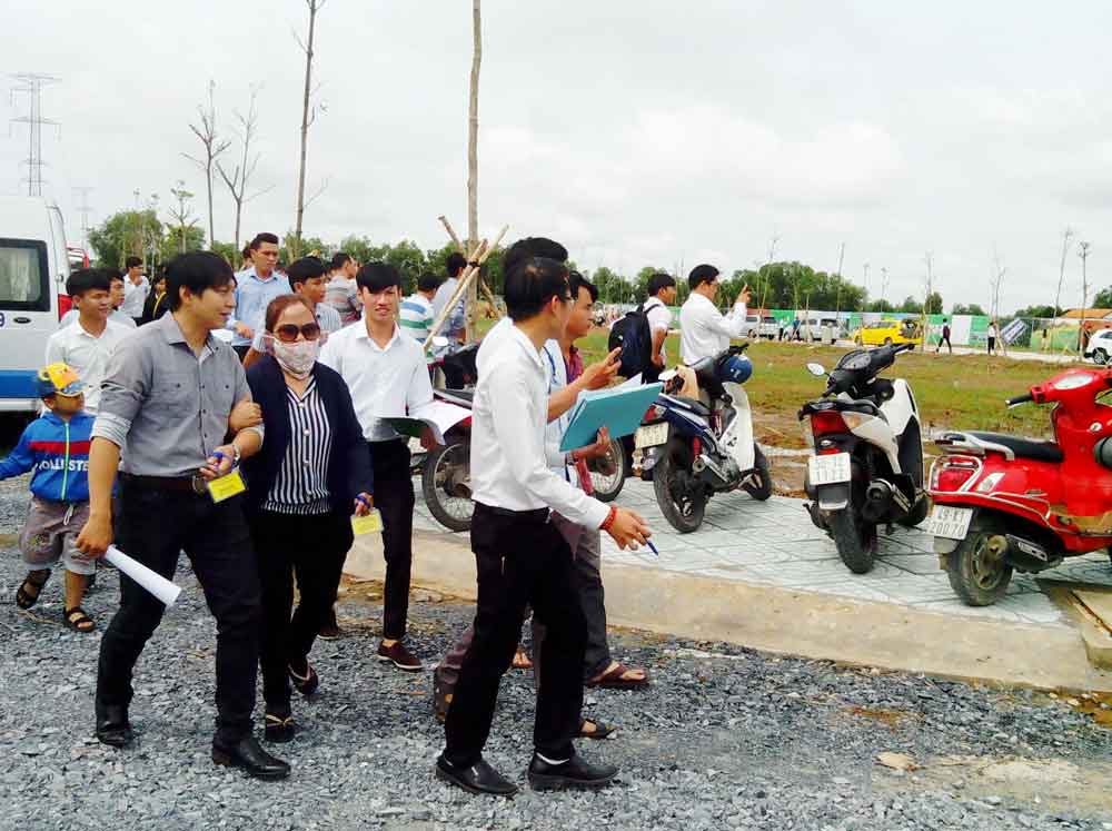 Đất nền đầu năm ấm dần lên