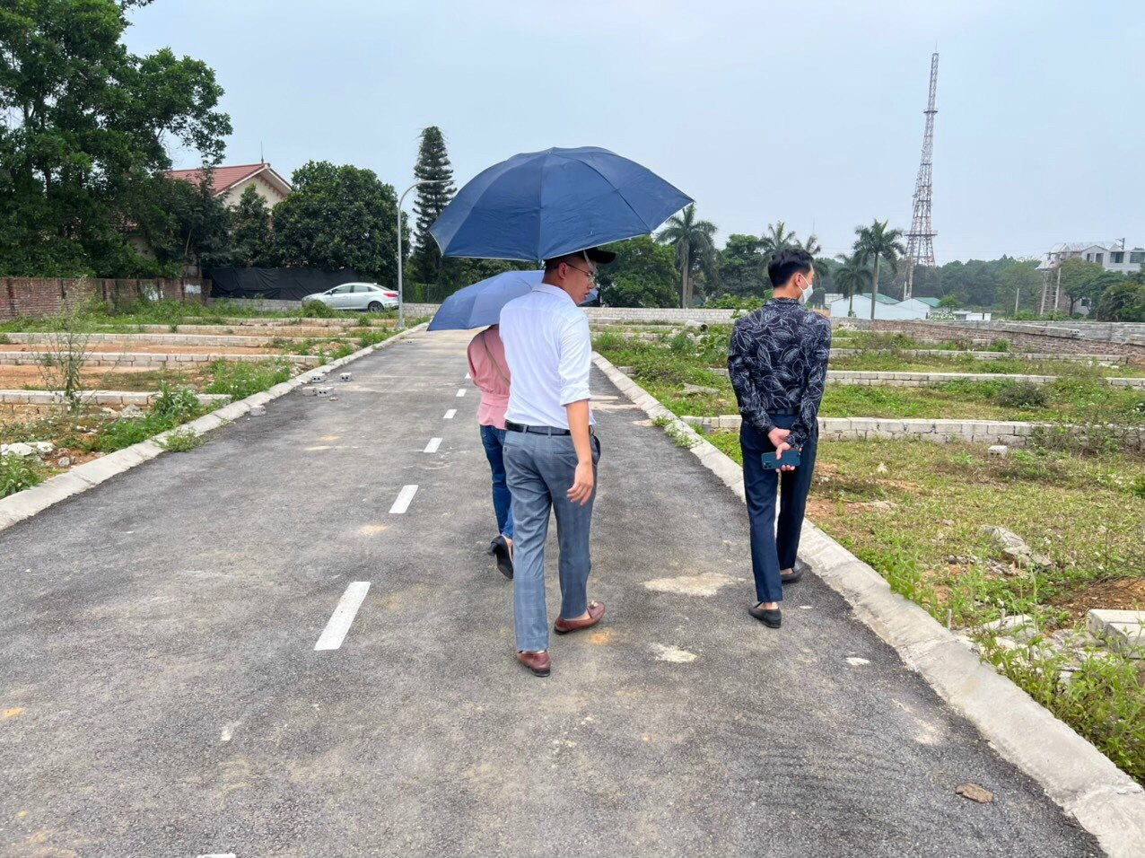 Đất nền TP.HCM đang có diễn biến lạ