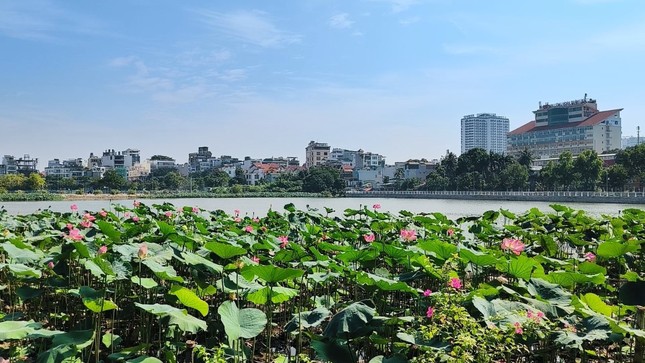 Đấu giá cho thuê 35.000m2 đất tại Tây Hồ
