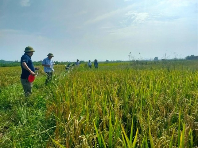 Luật Đất đai sửa đổi: Nhiều quy định mới với đất nông nghiệp
