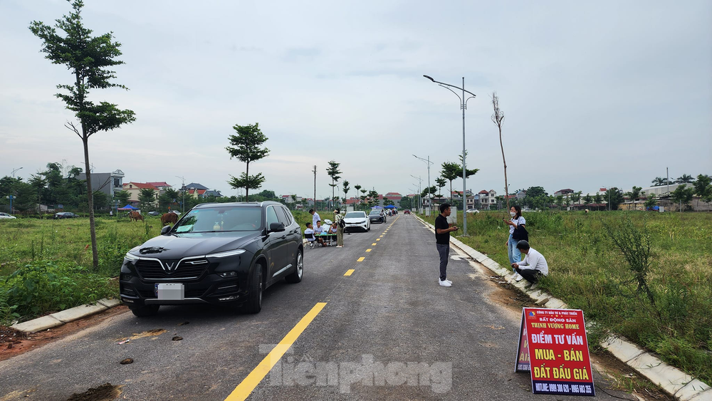Nhu cầu tìm kiếm đất nền tăng mạnh hơn chung cư