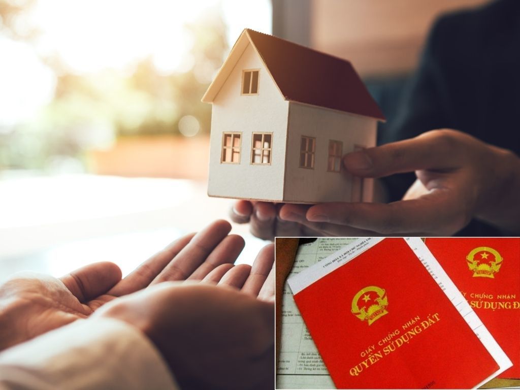 Những trường hợp nào không được nhận chuyển nhượng, nhận tặng cho quyền sử dụng đất theo Luật đất đai 2024