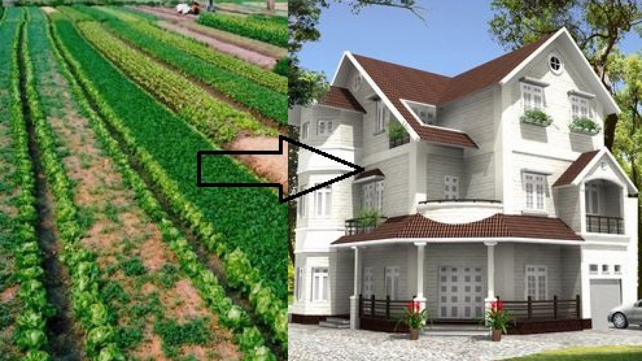 Quy định mới nhất của Luật Đất đai 2024 về việc chuyển đổi đất nông nghiệp lên đất thổ cư