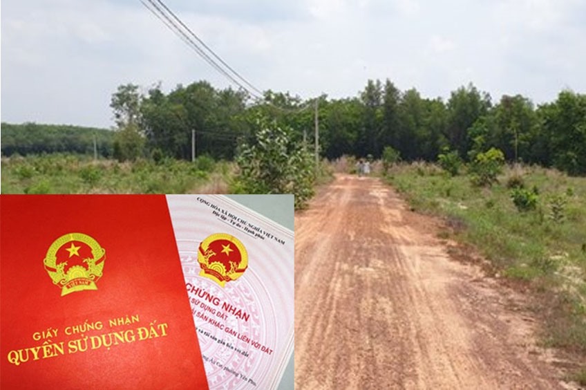 Vì sao nhiều người lùng mua nhà đất không sổ đỏ?