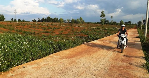 Xuất hiện tay to gom đất nông nghiệp để phân lô trước thềm Luật đất đai 2024 có hiệu lực